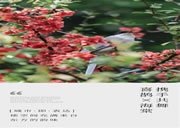 【領(lǐng)繡·菁華】[城市·即·表達(dá)]喜鵲與海棠攜手共舞，使空間充滿來自東方的韻味