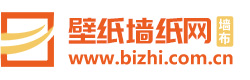 中國壁紙網(wǎng)logo